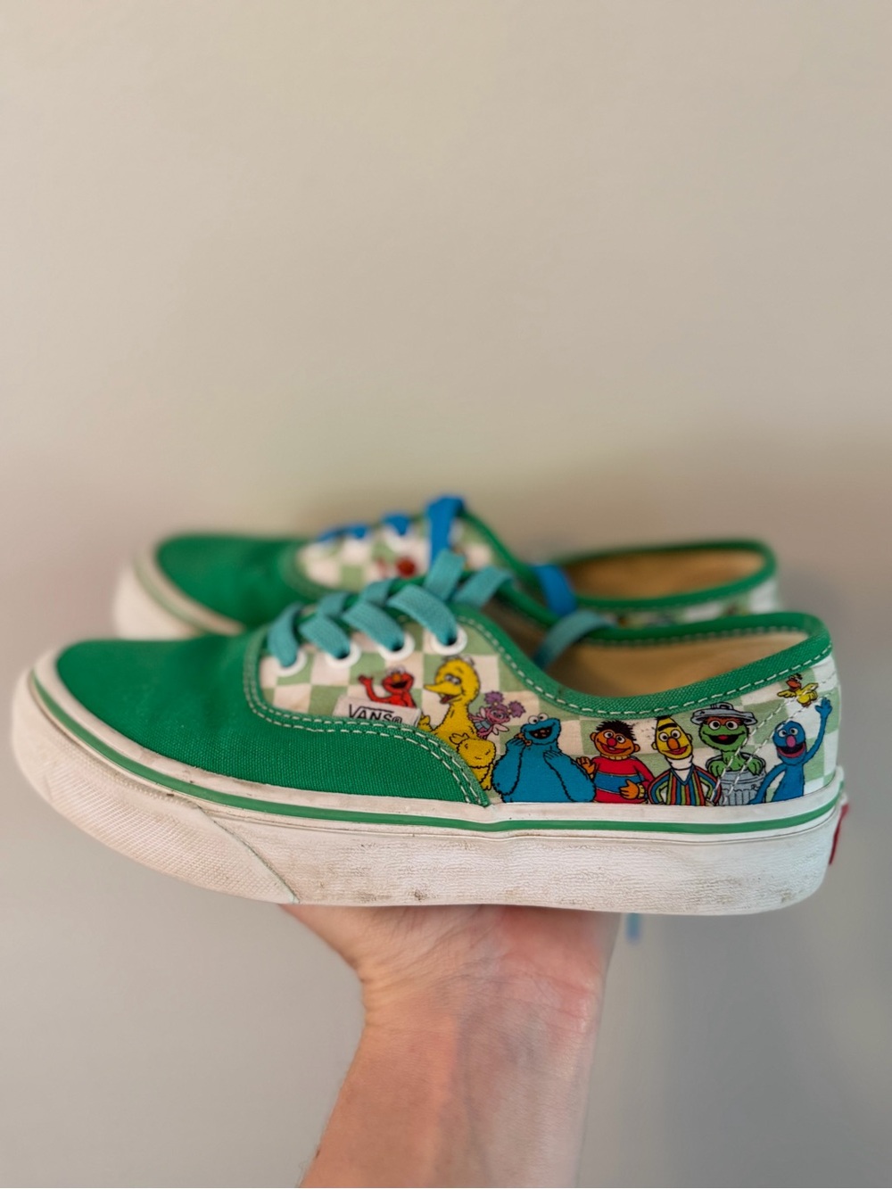 Vans Kids' Green Sesame Street Shoes